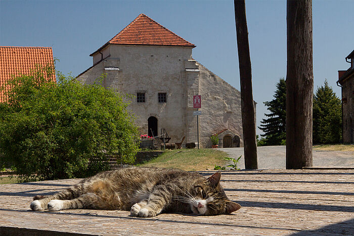 Konradsburg, Ermsleben, Foto: Christoph Jann, © Kulturstiftung Sachsen-Anhalt Konradsburg, Ermsleben