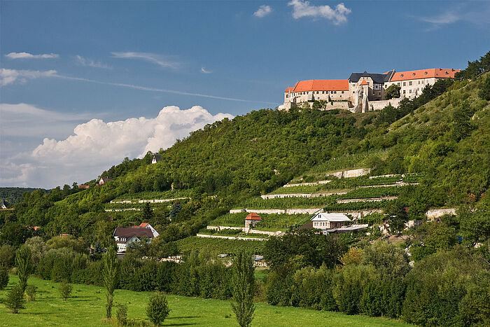 Schloss Neuenburg, Freyburg/Unstrut, Foto: Patrick Cebulla, © Kulturstiftung Sachsen-Anhalt Schloss Neuenburg, Freyburg/Unstrut