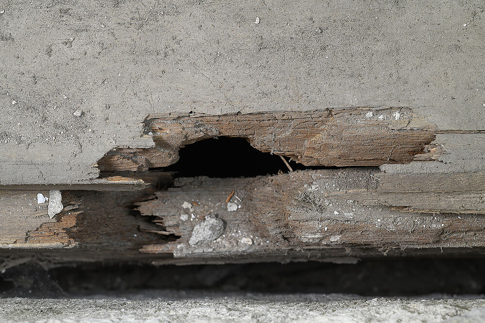 Massive Schädigungen an der Holzkiste