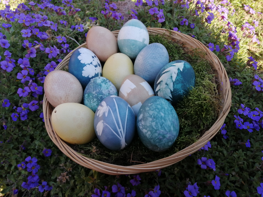 Ostereierfärben mit Naturmaterialien Ostereierfärben mit Naturmaterialien