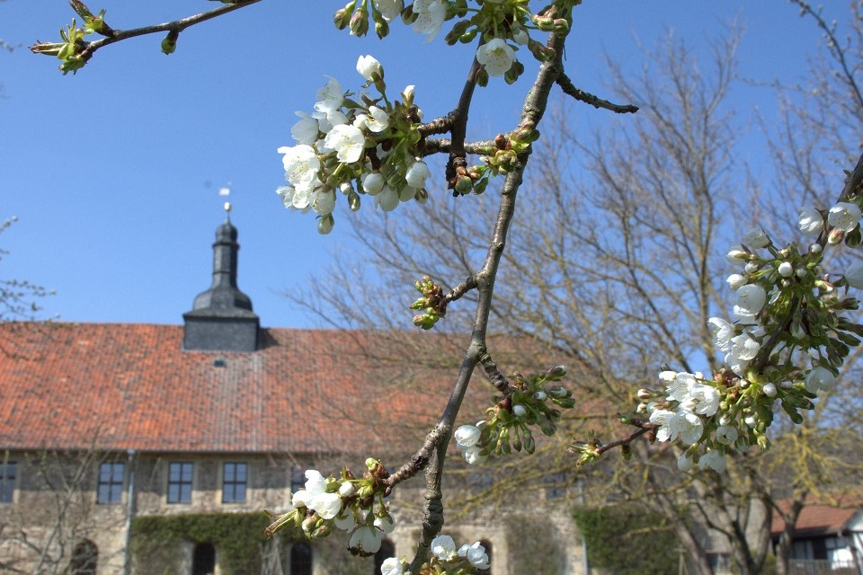 Gemüsegarten im Frühling